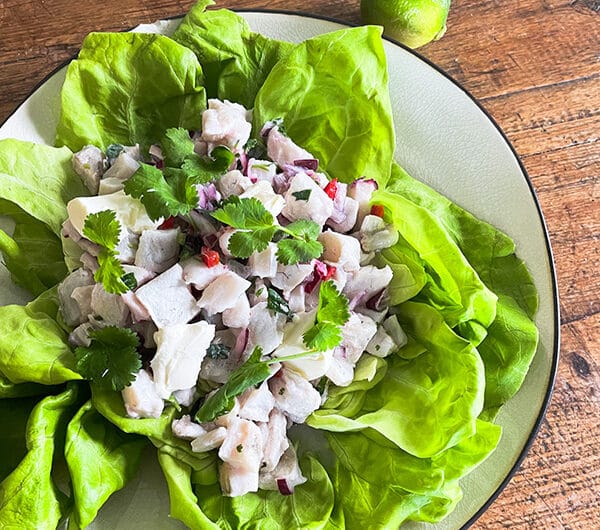 Ceviche