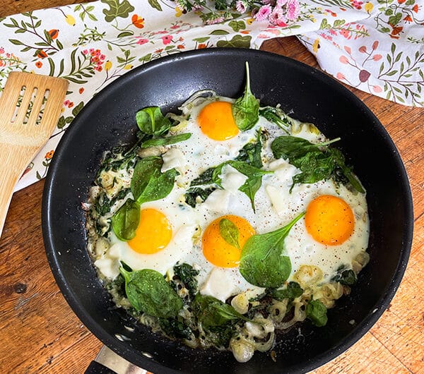 Pannumunat florentine