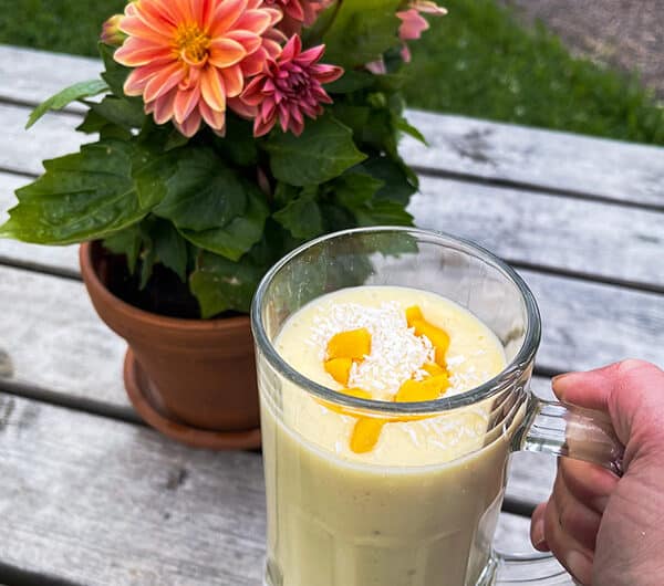 Mango-proteiinipirtelö